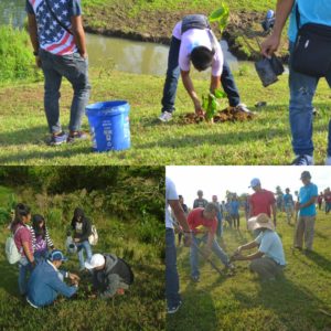 TreePlanting2