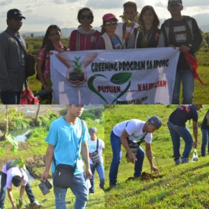 TreePlanting3