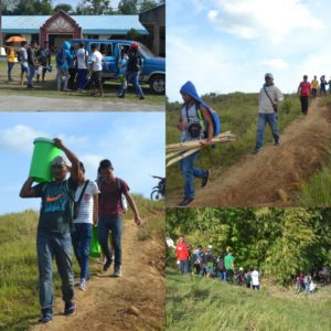 TreePlanting